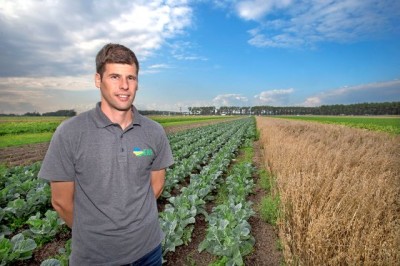 ERF gaat areaal strokenteelt uitbreiden