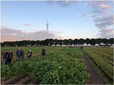 Uitnodiging demoveldbijeenkomst "Robuuste aardappelen in de praktijk"