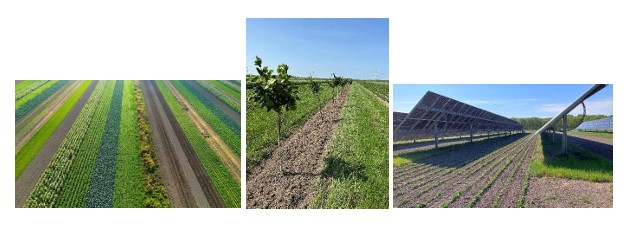 STROKENTEELT STROKENTEELT