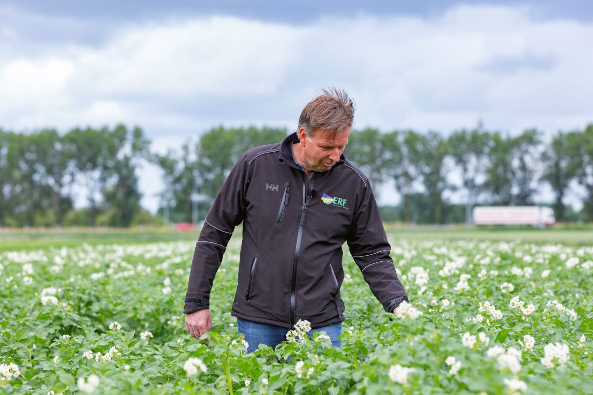 KLaas Eissens_ERF Strokenteelt 08-07-19-28_1200b.jpg